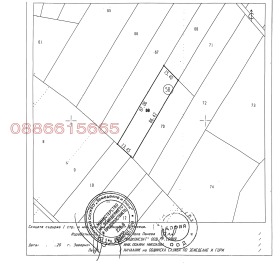 ������ ������� ���������� ����