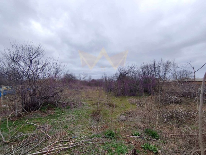 Продаја  Плот регион Добрицх , Балчик , 1726 м2 | 80137426 - слика [2]