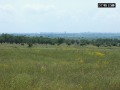 Продава ПАРЦЕЛ, с. Кошарица, област Бургас, снимка 1