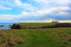 Plott Varvara, region Burgas