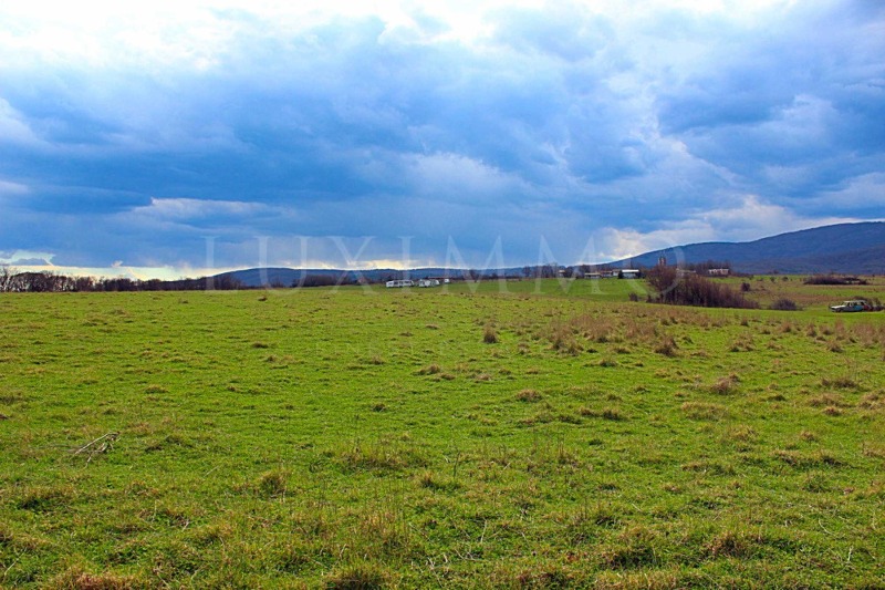 For Sale  Plot region Burgas , Varvara , 63444 sq.m | 64228137 - image [4]