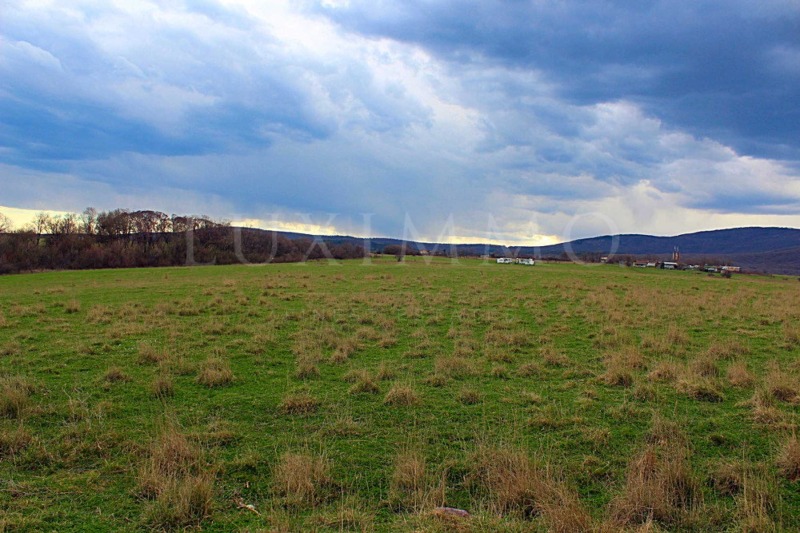 For Sale  Plot region Burgas , Varvara , 63444 sq.m | 64228137 - image [14]