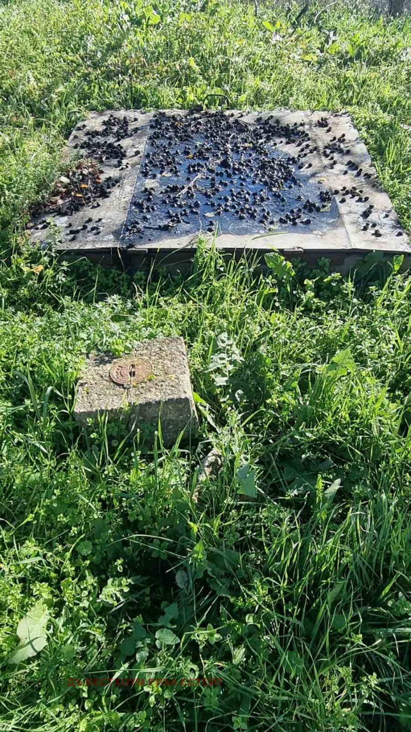 Продава ПАРЦЕЛ, с. Кичево, област Варна, снимка 2 - Парцели - 51907984