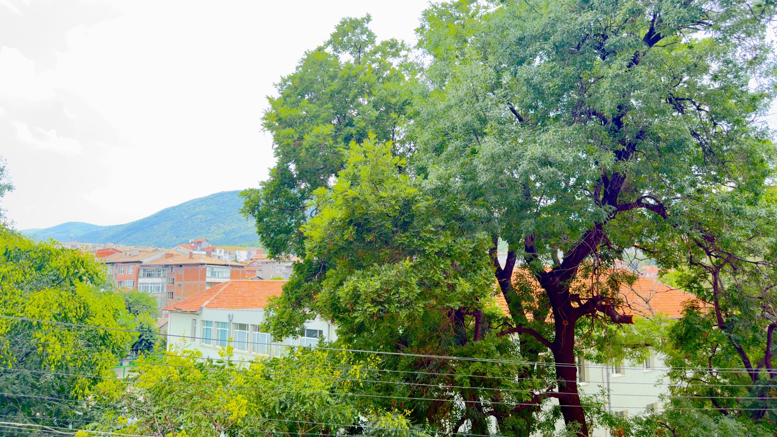 Продава 3-СТАЕН | Imot.bg — изображение 5