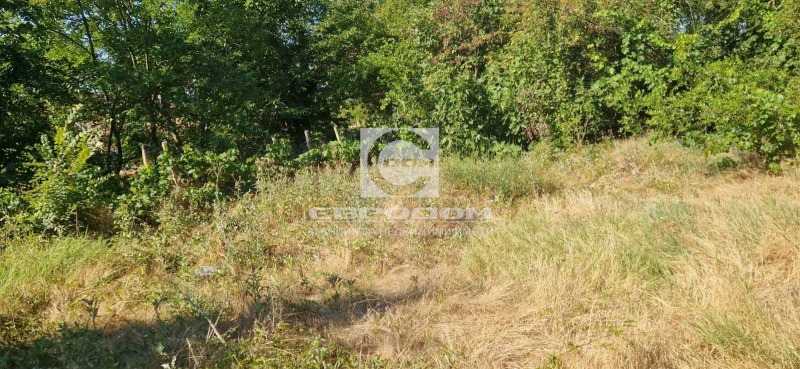 Продава  Къща област Стара Загора , с. Дълбоки , 146 кв.м | 29716343 - изображение [12]