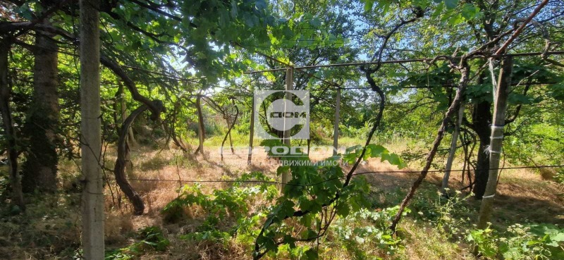 Продава  Къща област Стара Загора , с. Дълбоки , 146 кв.м | 29716343 - изображение [2]