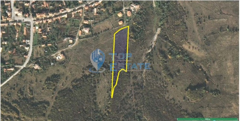 À vendre  Parcelle région Veliko Tarnovo , Pouchevo , 6999 m² | 17178245 - image [2]