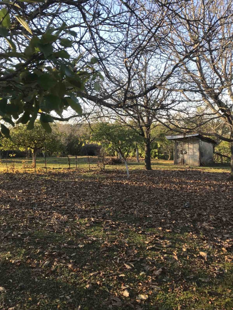 Продава ПАРЦЕЛ, град Русе, в.з. Левента • 65000 лв. / 33233.97 € • 57216399 1