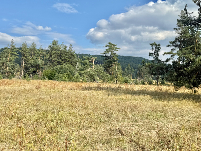 Na prodej  Spiknutí Sofia , Plana , 11200 m2 | 44320709 - obraz [4]