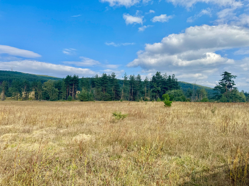 Na prodej  Spiknutí Sofia , Plana , 11200 m2 | 44320709 - obraz [6]