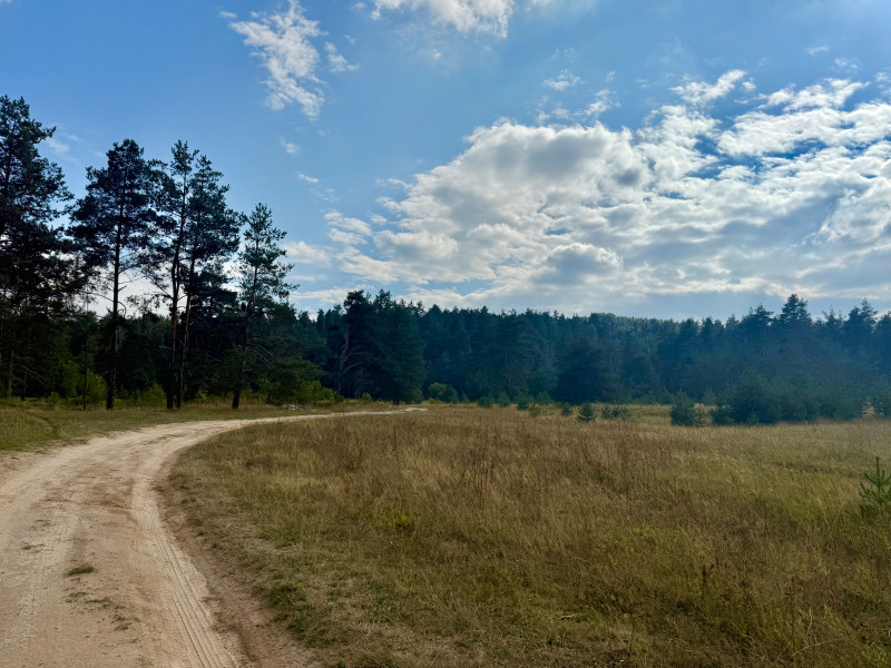Na prodej  Spiknutí Sofia , Plana , 11200 m2 | 44320709 - obraz [5]