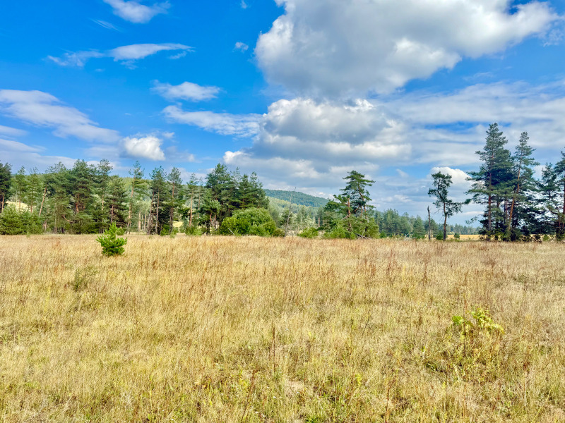 Na prodej  Spiknutí Sofia , Plana , 11200 m2 | 44320709 - obraz [3]