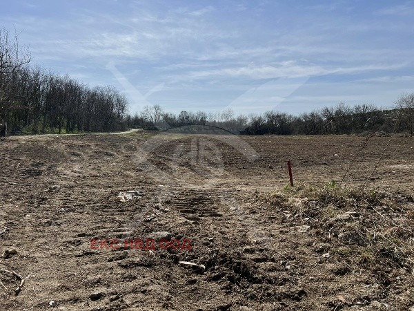 In vendita  Complotto regione Plovdiv , Parvomaj , 9536 mq | 66102302 - Immagine [2]