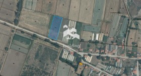 ����� ������� ������,�. ������, ������ �������