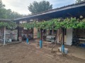 Продава  Къща област Плевен , с. Каменец , 125 кв.м | 12265808 - изображение [6]
