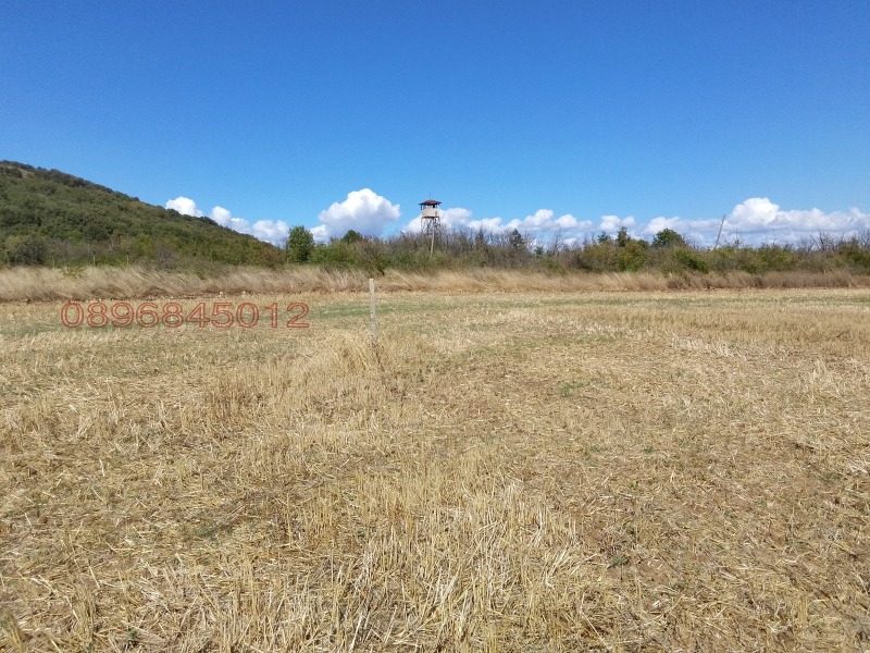 Продава ПАРЦЕЛ, гр. Черноморец, област Бургас, снимка 2 - Парцели - 53345693