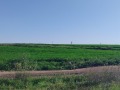 Продава ПАРЦЕЛ, гр. Варна, м-т Добрева чешма, снимка 2