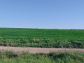 Продава ПАРЦЕЛ, град Варна, м-т Добрева чешма • 105440 € • 60269411 — Holmes.bg