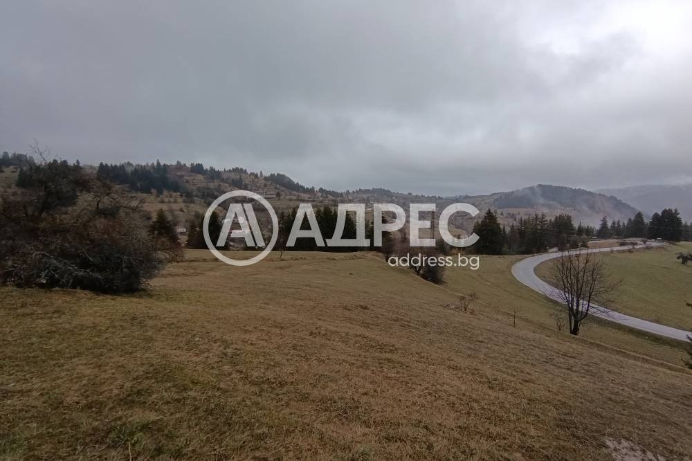 ������� ������ | Imot.bg � ����������� 5