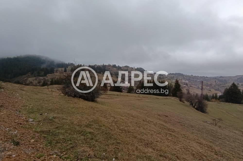 ������� ������ | Imot.bg � ����������� 7