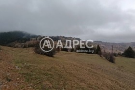 ������� ������ | Imot.bg � ����� ������ 7