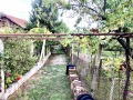 Продава КЪЩА, област Враца, с. Върбешница • 52000 € / 101703.16 лв. • 12598104 16