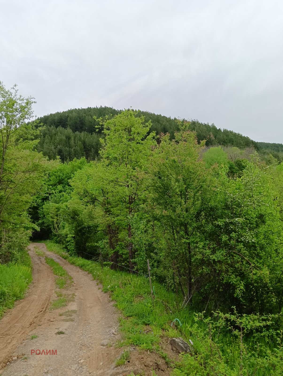 ������� ������ | Imot.bg � ����������� 7