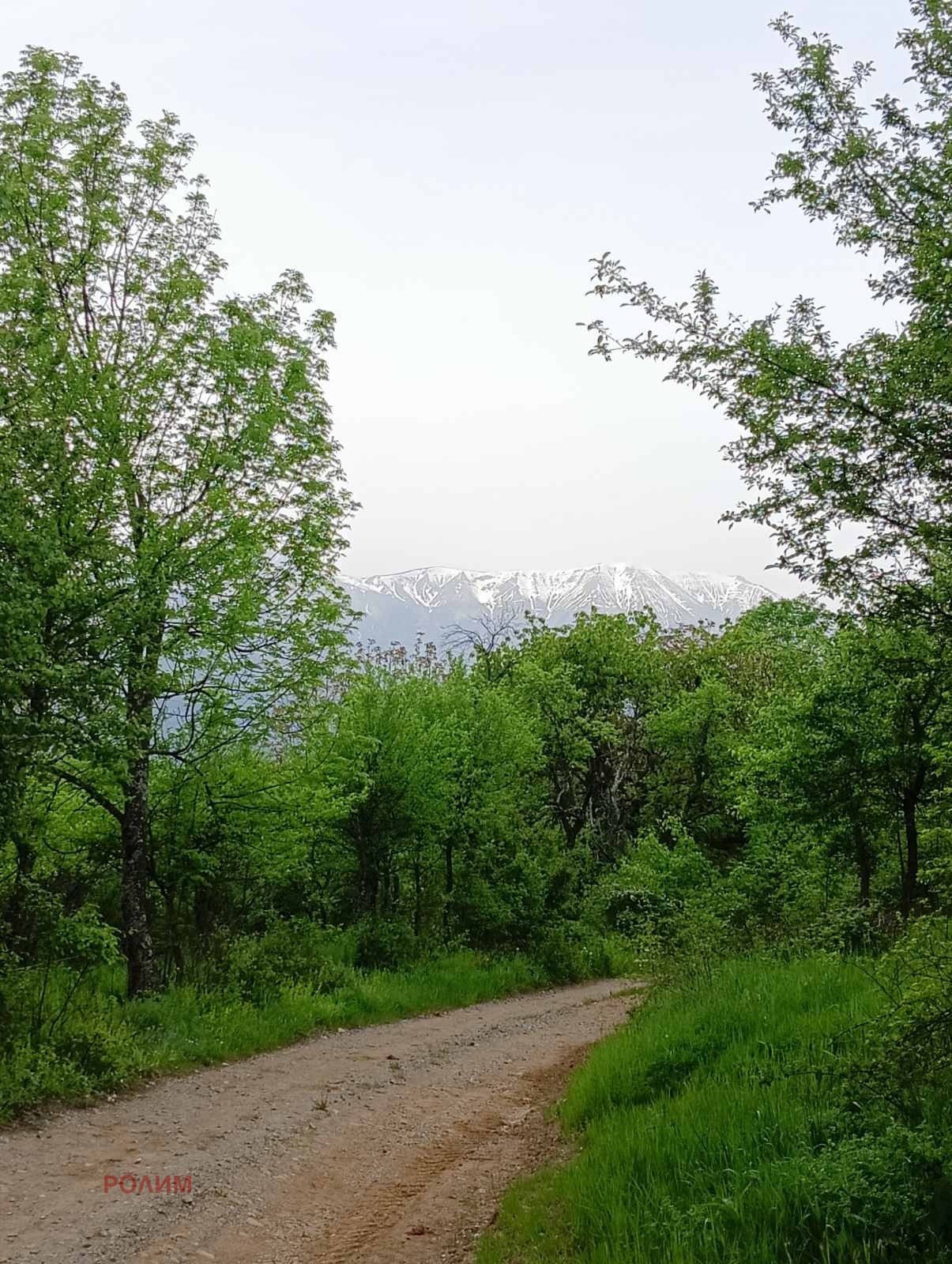 ������� ������ | Imot.bg � ����������� 2