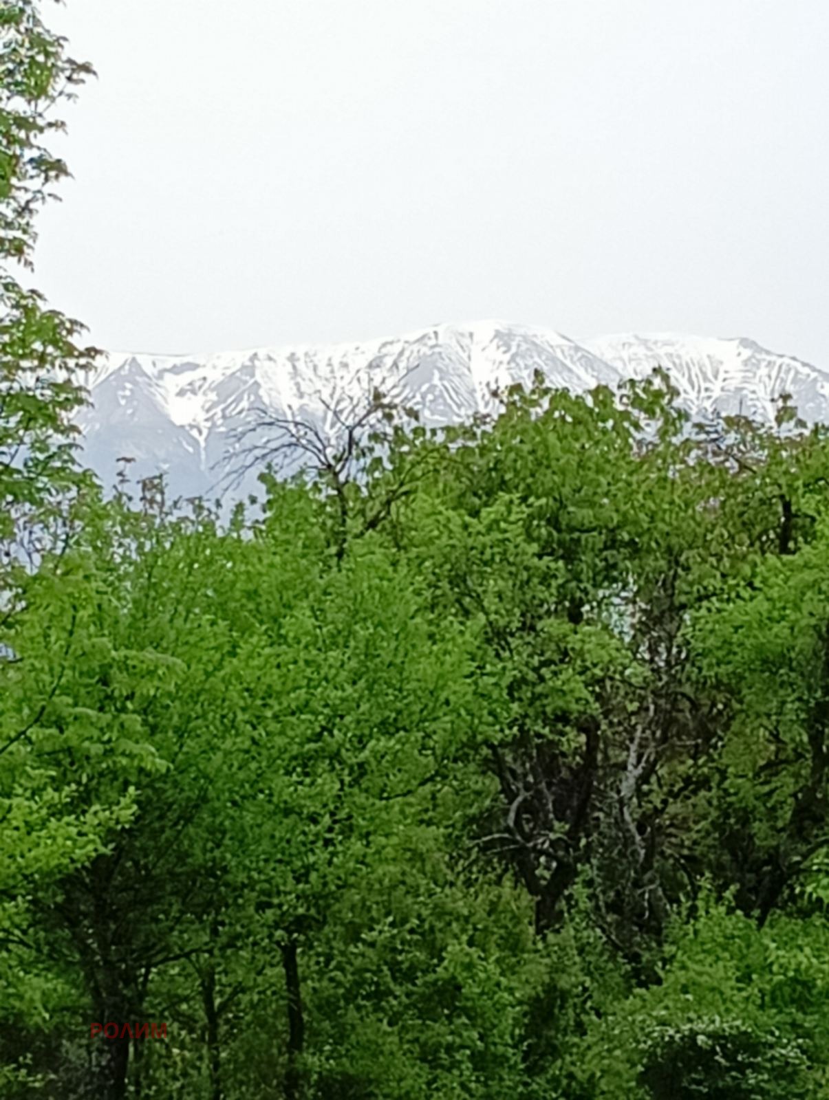 ������� ������ | Imot.bg � ����������� 3