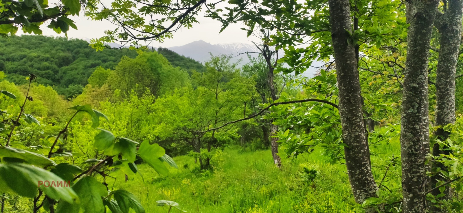 ������� ������ | Imot.bg � ����������� 4