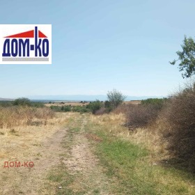 Plott Levski, region Pazardzhik 1