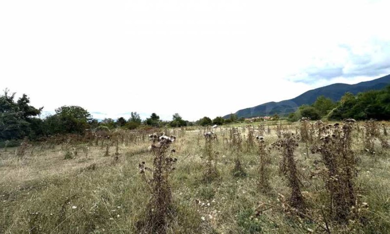 Προς πώληση  Οικόπεδο περιοχή Μπλαγκόεβγκραντ , Βανσκο , 6701 τ.μ | 30019968 - εικόνα [6]