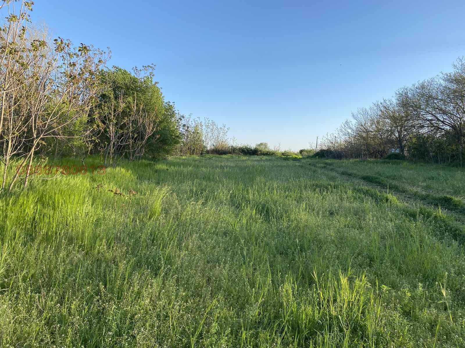 Продава ПАРЦЕЛ, гр. Козлодуй, област Враца, снимка 8 - Парцели - 54331295