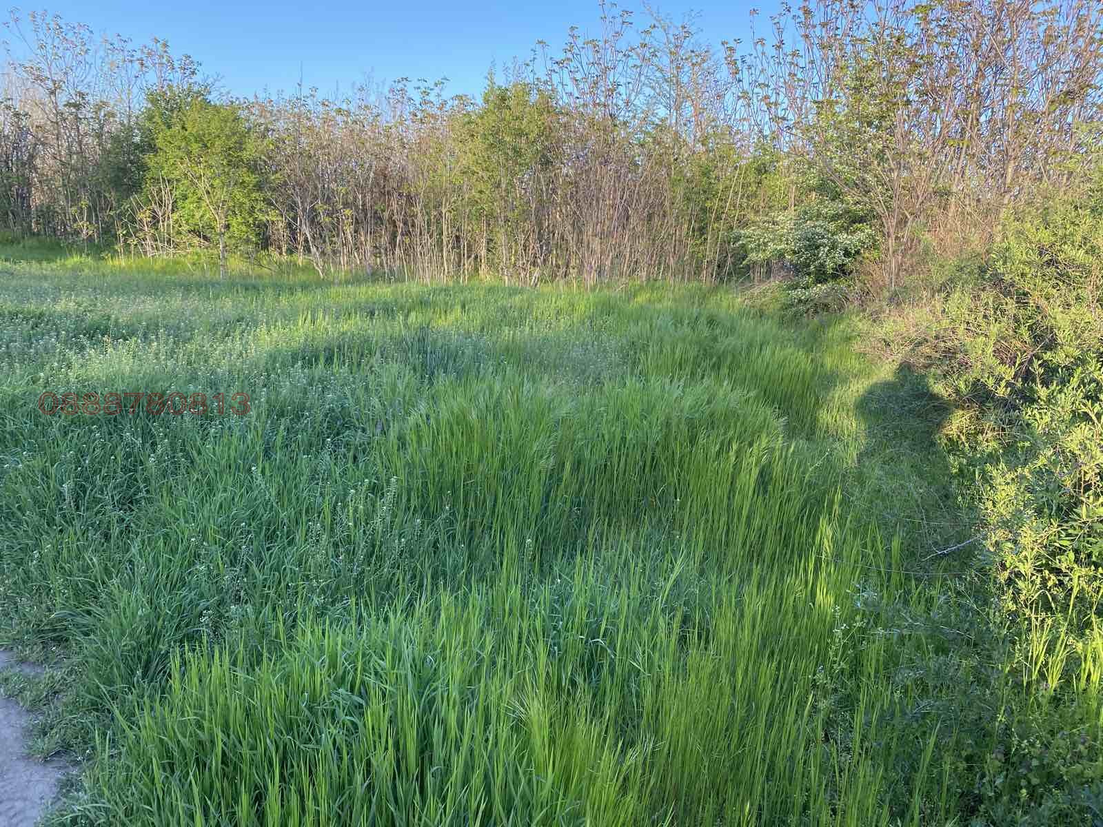 Продава ПАРЦЕЛ, гр. Козлодуй, област Враца, снимка 6 - Парцели - 54331295