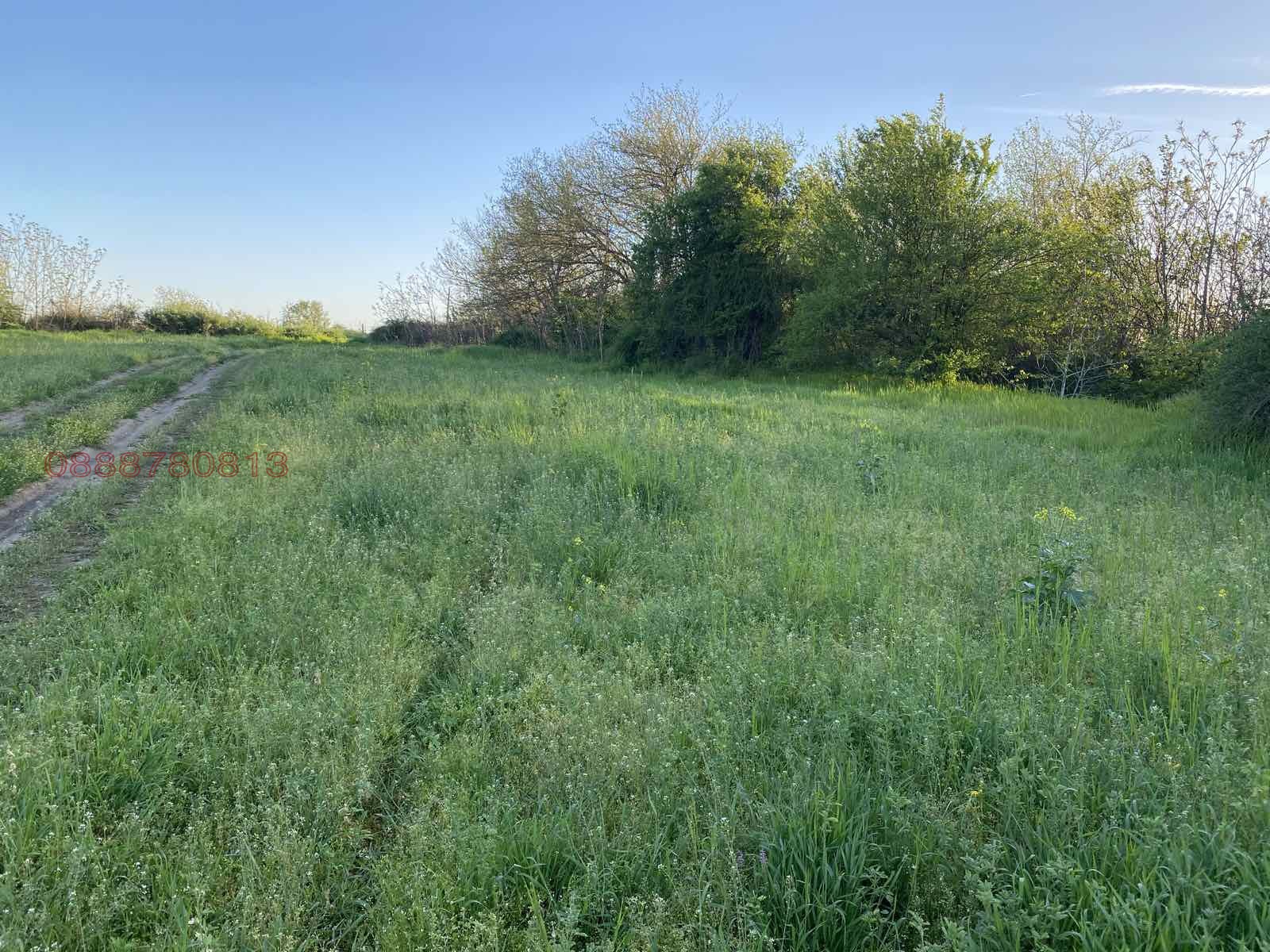 Продава ПАРЦЕЛ, гр. Козлодуй, област Враца, снимка 10 - Парцели - 54331295