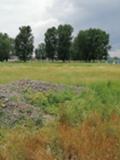 Продава ПАРЦЕЛ, гр. София, с. Чепинци, снимка 1