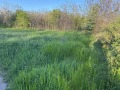 Продава ПАРЦЕЛ, гр. Козлодуй, област Враца, снимка 6