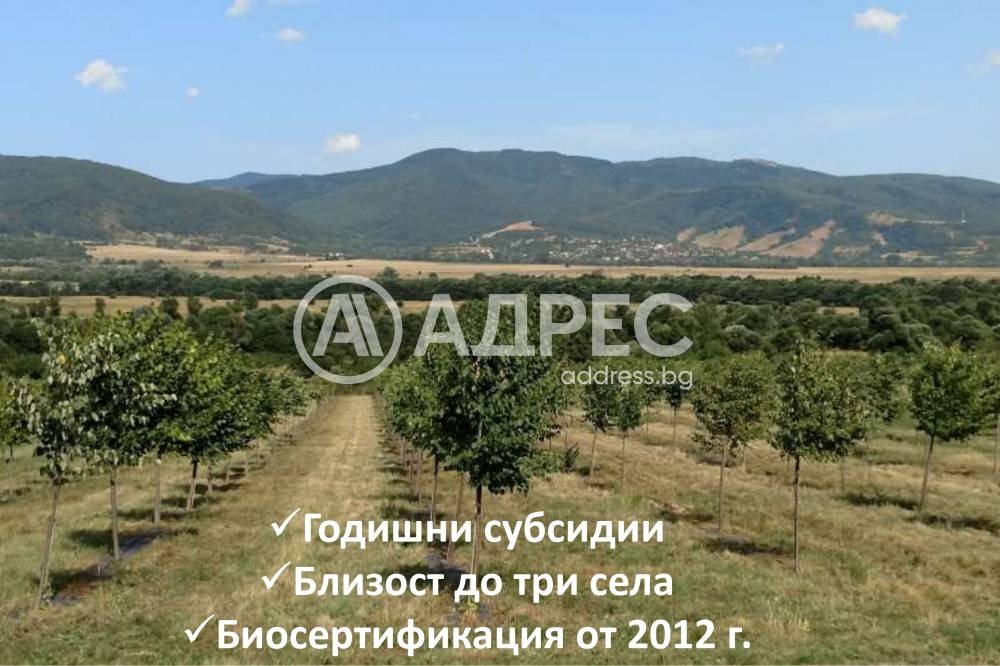 ������� ���������� ���� | Imot.bg � ����������� 3