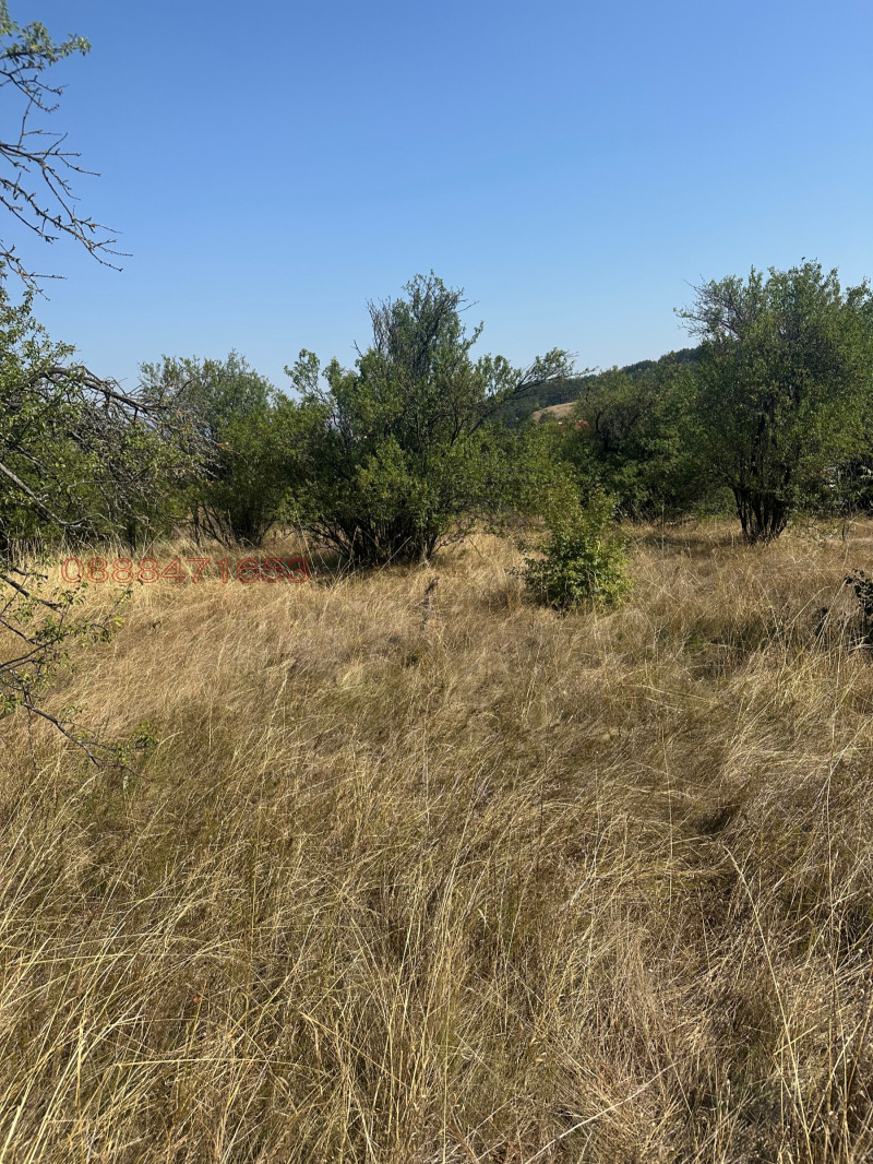 Продава ПАРЦЕЛ, гр. Сливница, област София област, снимка 6 - Парцели - 52908771