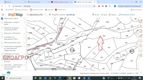 ������ ������� ������