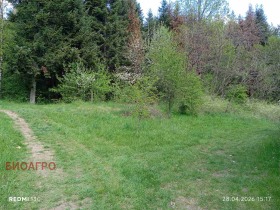 ������� ������ | Imot.bg � ����� ������ 2