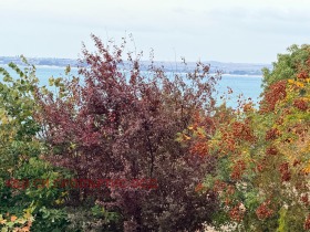 ������� 2-����� | Imot.bg � ����� ������ 16