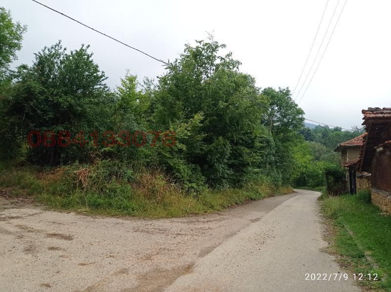 Продава ПАРЦЕЛ, с. Голяма Желязна, област Ловеч, снимка 4 - Парцели - 55838405