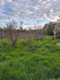 Продава КЪЩА, с. Гурково, област Добрич, снимка 5