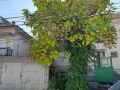Продава КЪЩА, град Кърджали, Байкал • 250000 € • 62561843 — Holmes.bg