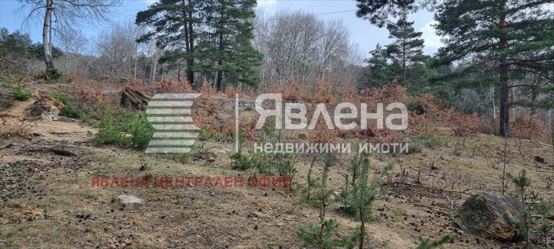 ������� ������ | Imot.bg � ����������� 5