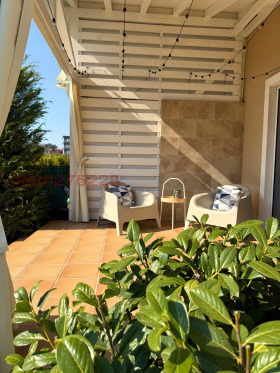 ����� ������� ����,���� �������, ������