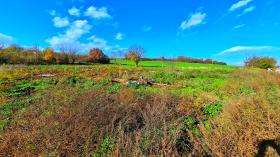 ������� ������ | Imot.bg � ����� ������ 11