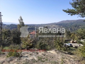 ����� ������� ������,���� �����, �. ������