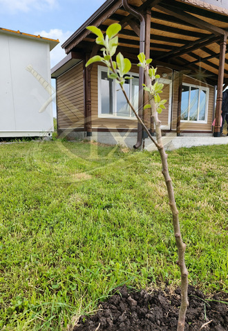 Продава КЪЩА, гр. Бургас, Банево, снимка 3 - Къщи - 55463810